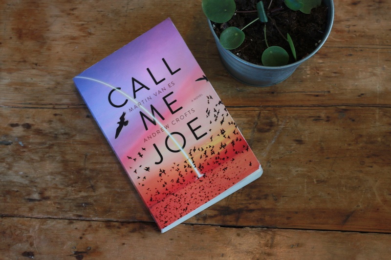 Call me Joe book cover and a plant
